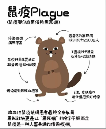 “女子買(mǎi)了100多張粘鼠板，一只老鼠也沒(méi)...